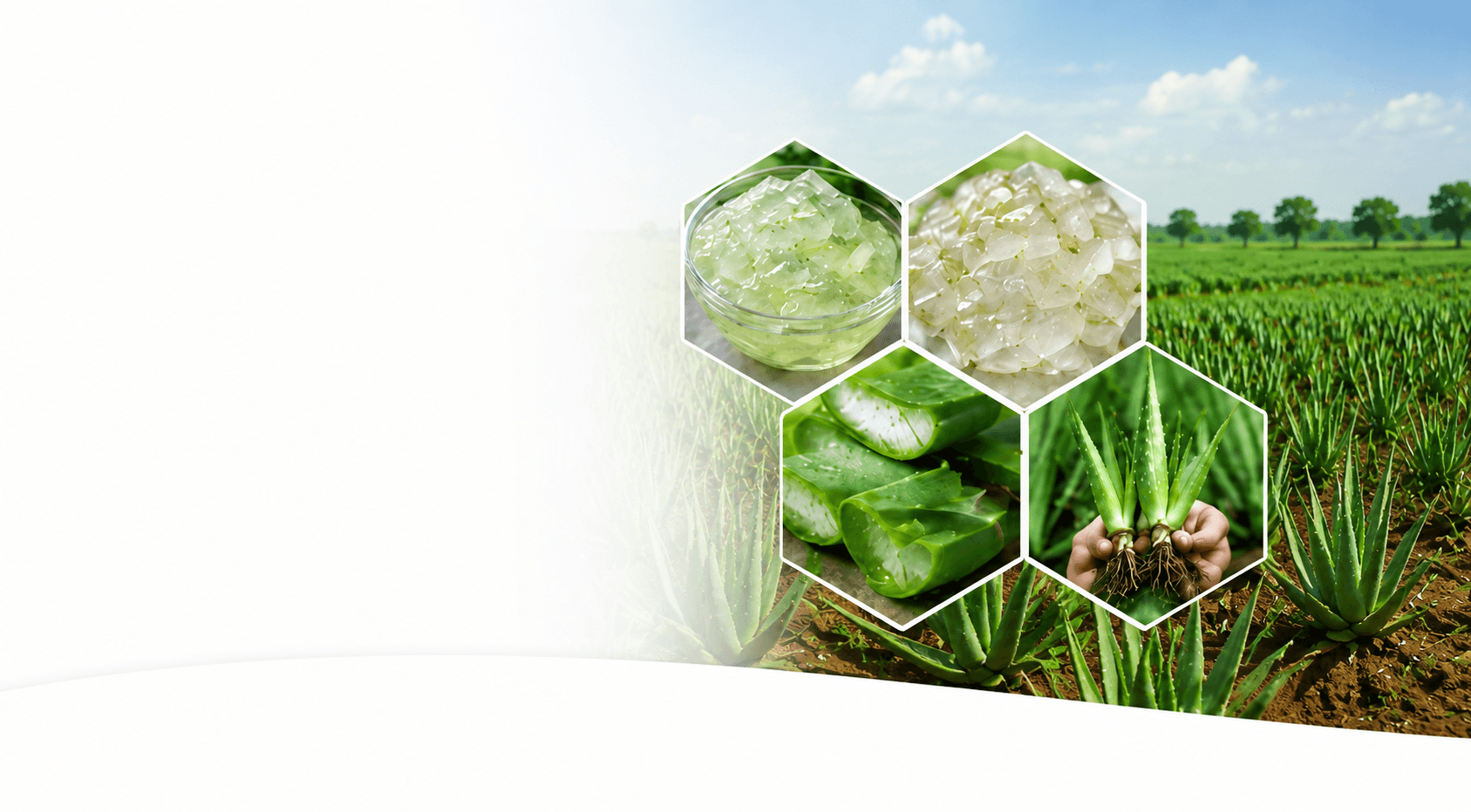 Bulk Products